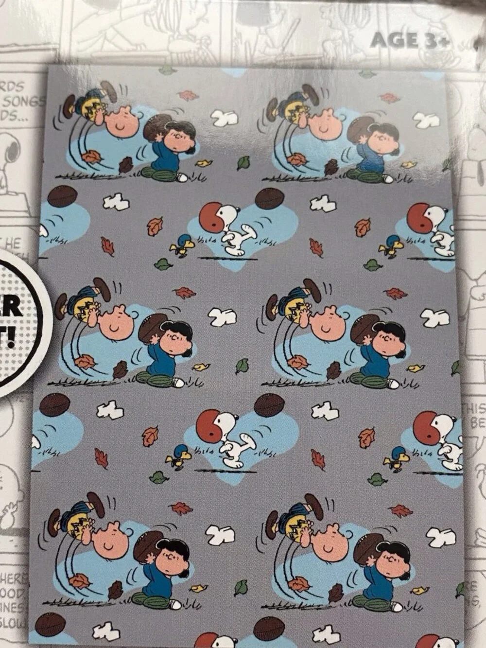 Peanuts Snoopy Charlie Brown Lucy Woodstock Fall Football Throw Blanket 50”x70”